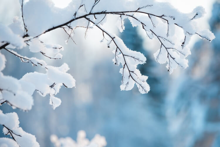 Rapport de situation hiver 2026
